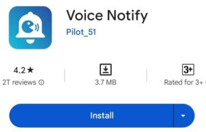 voice notification